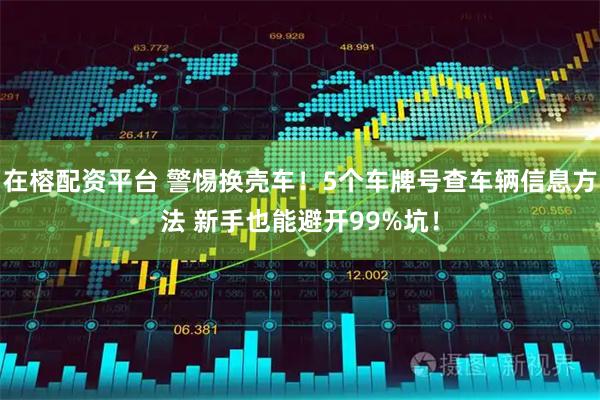 在榕配资平台 警惕换壳车！5个车牌号查车辆信息方法 新手也能避开99%坑！