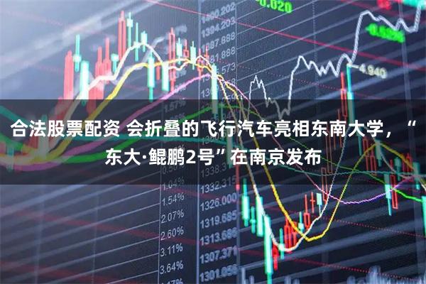 合法股票配资 会折叠的飞行汽车亮相东南大学，“东大·鲲鹏2号”在南京发布